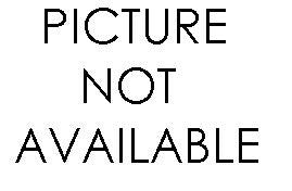 International Scout II (1966-81) Rear Leaf Springs OEM - Pair